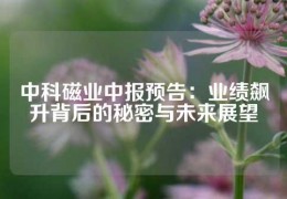 中科磁業(yè)中報(bào)預(yù)告：業(yè)績飆升背后的秘密與未來展望