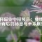 中科磁業(yè)中報預告：業(yè)績飆升背后的秘密與未來展望