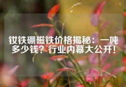 釹鐵硼磁鐵價格揭秘：一噸多少錢？行業內幕大公開！