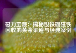 磁力寶藏：揭秘釹鐵硼磁鐵回收的黃金渠道與經(jīng)典案例