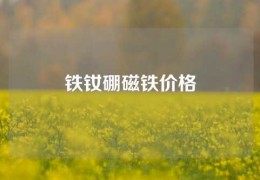 鐵釹硼磁鐵價格