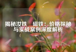 揭秘汝鐵錋磁鐵：價格探秘與實戰案例深度解析