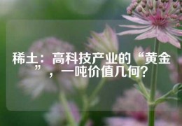 稀土：高科技產(chǎn)業(yè)的“黃金”，一噸價(jià)值幾何？