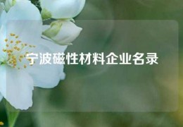 寧波磁性材料企業(yè)名錄