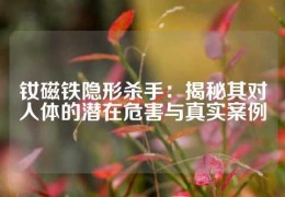 釹磁鐵隱形殺手：揭秘其對人體的潛在危害與真實案例