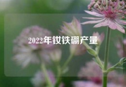 2022年釹鐵硼產量