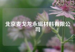 北京麥戈龍永磁材料有限公司