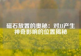 磁石放置的奧秘：對JJ產(chǎn)生神奇影響的位置揭秘