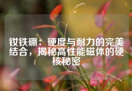 釹鐵硼：硬度與耐力的完美結合，揭秘高性能磁體的硬核秘密