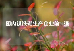 國內釹鐵硼生產企業前20強