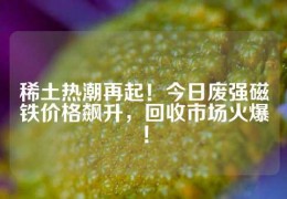 稀土熱潮再起！今日廢強磁鐵價格飆升，回收市場火爆！