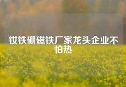 釹鐵硼磁鐵廠家龍頭企業(yè)不怕熱