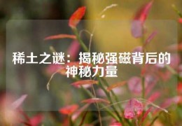 稀土之謎：揭秘強磁背后的神秘力量