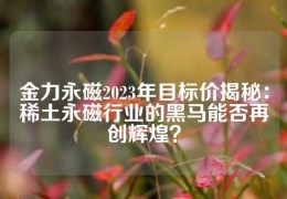 金力永磁2023年目標(biāo)價(jià)揭秘：稀土永磁行業(yè)的黑馬能否再創(chuàng)輝煌？