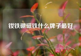 釹鐵硼磁鐵什么牌子最好