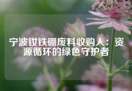 寧波釹鐵硼廢料收購人：資源循環(huán)的綠色守護(hù)者