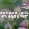磁鐵相吸的奇妙之旅：一起被吸還是各自為政？