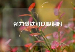 強力磁鐵可以吸銅嗎