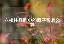 六棱柱晶胞中的原子數怎么算