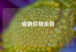 磁鋼價格走勢