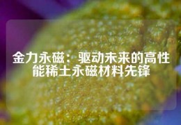 金力永磁：驅動未來的高性能稀土永磁材料先鋒