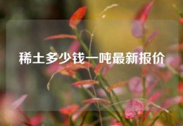 稀土多少錢一噸最新報價