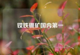 釹鐵硼礦國內第一