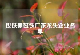 釹鐵硼磁鐵廠家龍頭企業(yè)名單