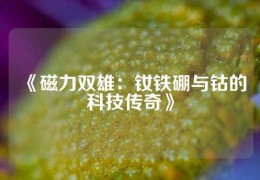 《磁力雙雄：釹鐵硼與鈷的科技傳奇》