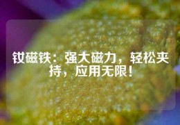 釹磁鐵：強大磁力，輕松夾持，應用無限！