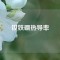 釹鐵硼熱導率