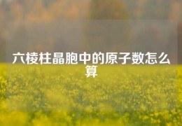 六棱柱晶胞中的原子數(shù)怎么算