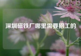 深圳磁鐵廠哪里需要招工的