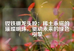 釹鐵硼龍頭股：稀土永磁的璀璨明珠，驅(qū)動未來的綠色引擎