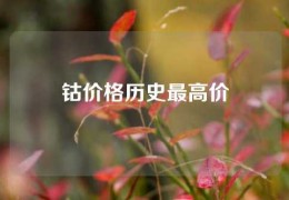 鈷價格歷史最高價