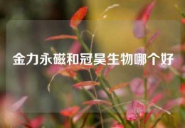 金力永磁和冠昊生物哪個(gè)好