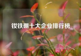 釹鐵硼十大企業排行榜