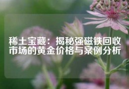 稀土寶藏：揭秘強磁鐵回收市場的黃金價格與案例分析