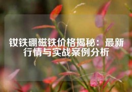 釹鐵硼磁鐵價格揭秘：最新行情與實戰案例分析