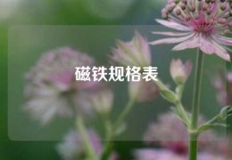 磁鐵規(guī)格表