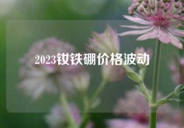 2023釹鐵硼價格波動