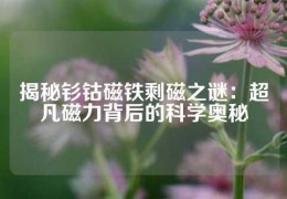 揭秘釤鈷磁鐵剩磁之謎：超凡磁力背后的科學(xué)奧秘