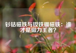 釤鈷磁鐵與釹鐵硼磁鐵：誰才是磁力王者？