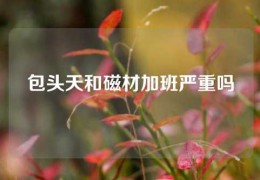 包頭天和磁材加班嚴(yán)重嗎