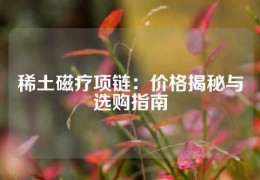 稀土磁療項鏈：價格揭秘與選購指南