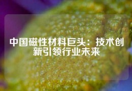 中國磁性材料巨頭：技術(shù)創(chuàng)新引領(lǐng)行業(yè)未來