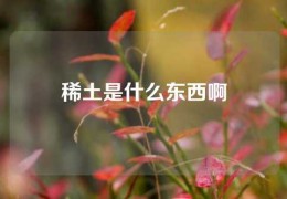 稀土是什么東西啊