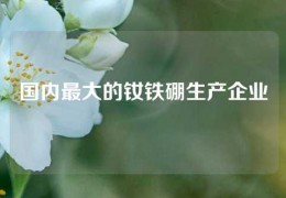 國內最大的釹鐵硼生產企業