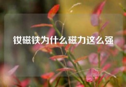 釹磁鐵為什么磁力這么強