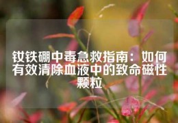 釹鐵硼中毒急救指南：如何有效清除血液中的致命磁性顆粒